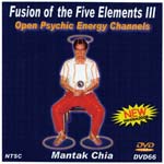 Fusion of the Five Elements III cover art