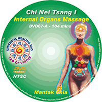Chi Nei Tsang I Internal Organ Massage (E-DVD DL-DVD20-2013) (2013 Version)