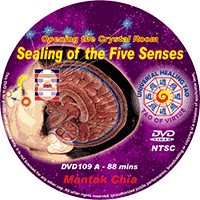 Sealing of the Five Senses DVD cover