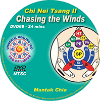Chi Nei Tsang II DVD cover