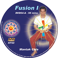 Fusion of the Five Elements I (E-DVD DL-DVD18-2013) (2013 Version)