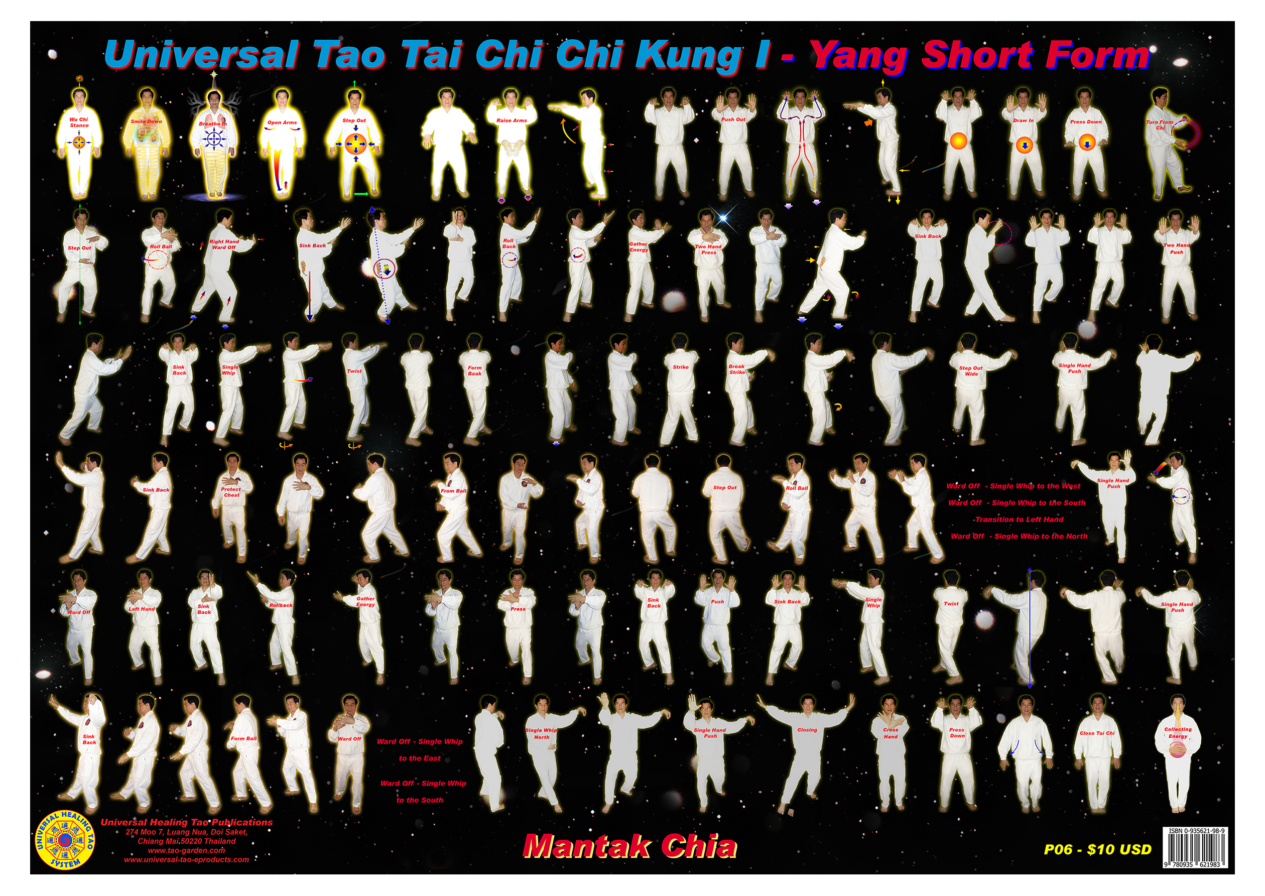 Tai Chi Chi Kung I (E-Poster) [DL-P06]