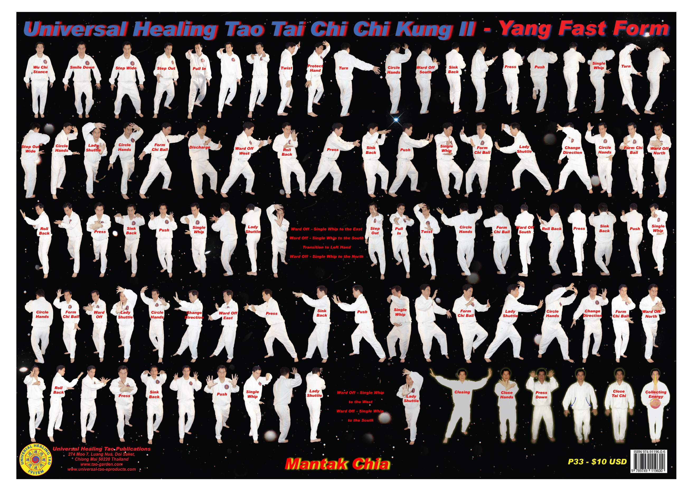 Tai Chi Chi Kung II (Fa Jing)(E-Poster) [DL-P33]