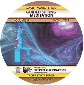 Guided Sitting Meditation (E-DVD DL-DVD09-2011) 2011 Version
